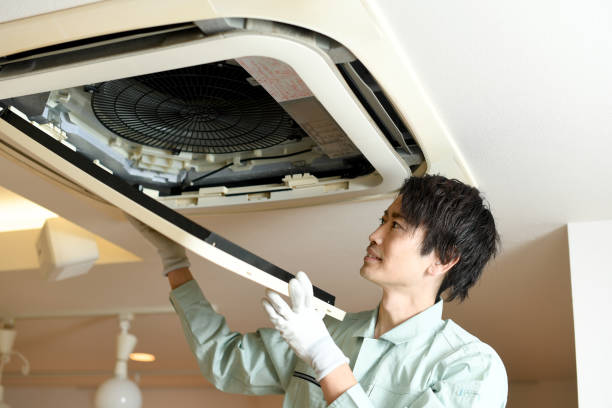 Best Affordable Duct Cleaning Services  in Wallace, NC