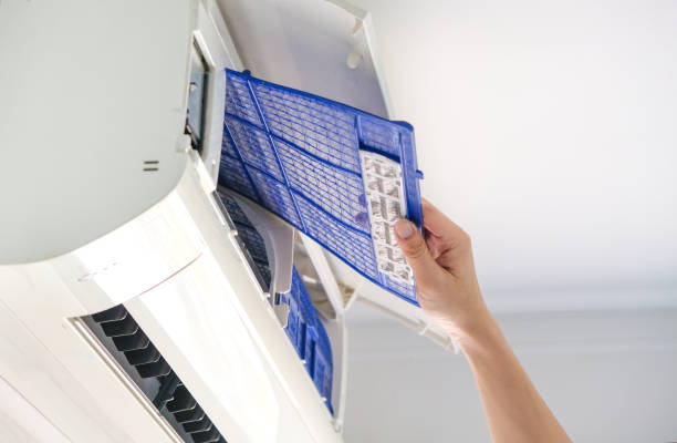 Best Ductwork Cleaning Services  in Wallace, NC
