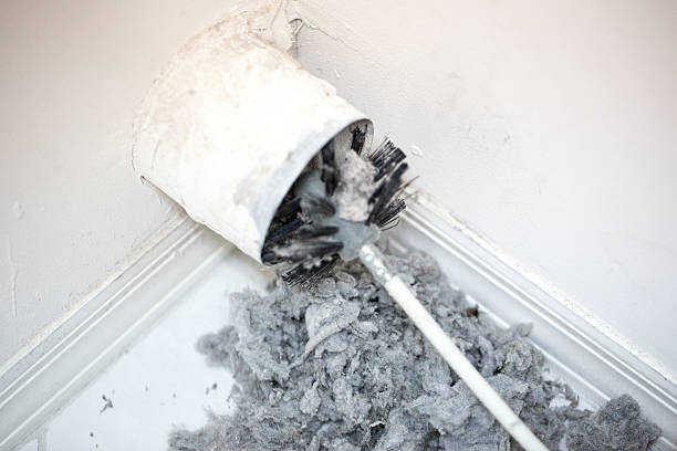 Best Home Air Vent Cleaning  in Wallace, NC