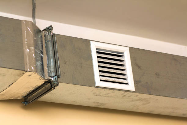Best Local Air Duct Cleaning Services  in Wallace, NC
